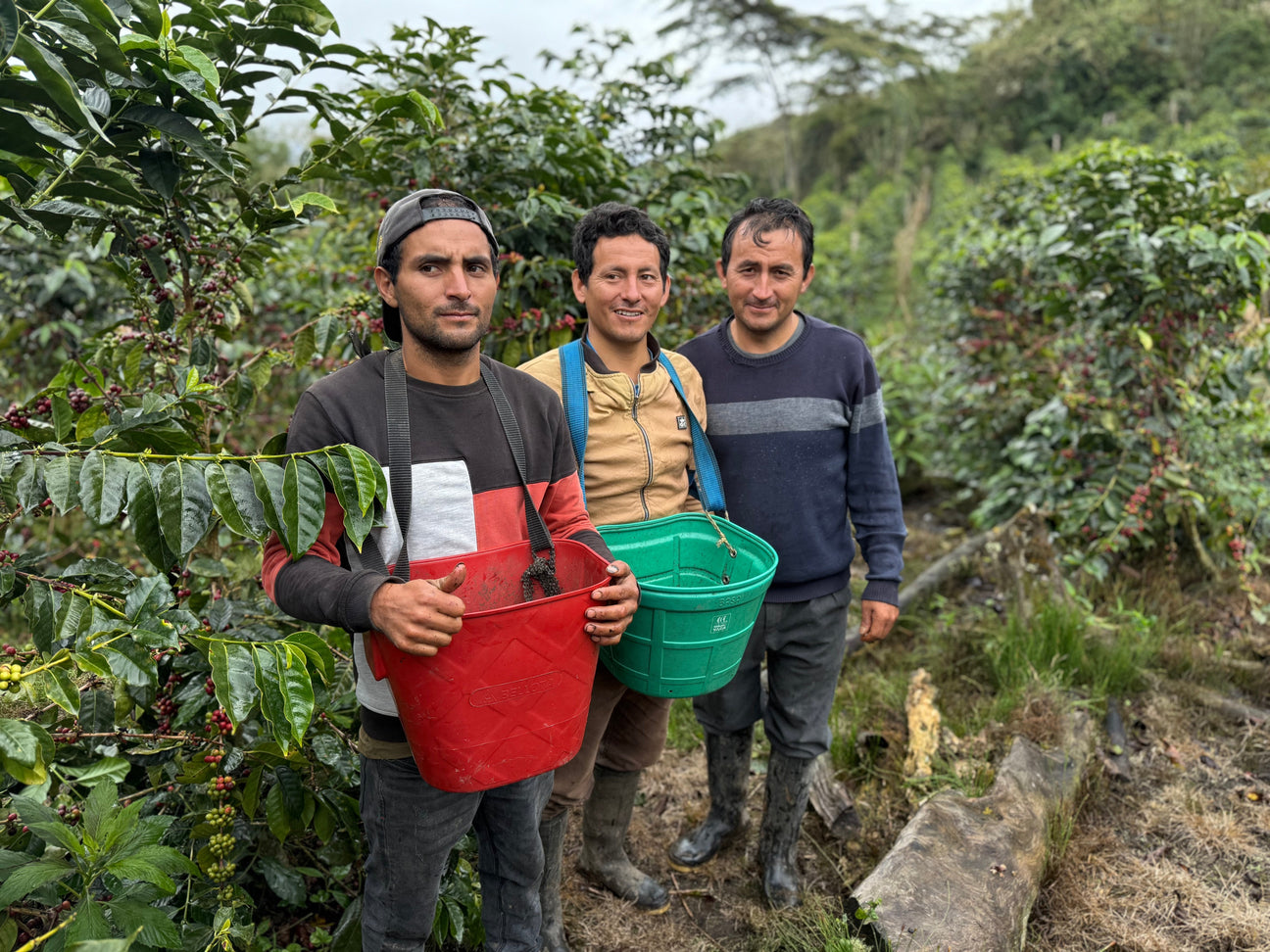 Roast Notes - January