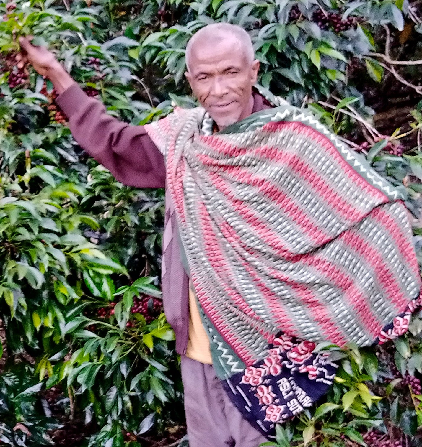 All Fringe, No Frill